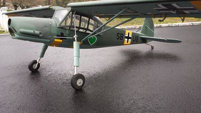 4-3-2016 Buy Fiesler Storch (0).jpg