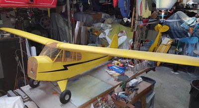 10-23-2018 Piper Cub-Balsa USA-Quarter Scale (6).jpg