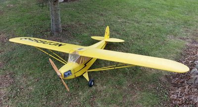 12-10-2018 Piper Cub - Finished (0).jpg