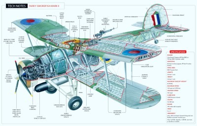 Swordfish-cutaway.jpg