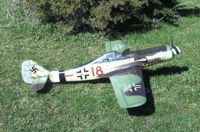 FW-190-D9 Finished Plane (0).jpg