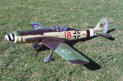 FW-190-D9 Finished Plane (1).jpg