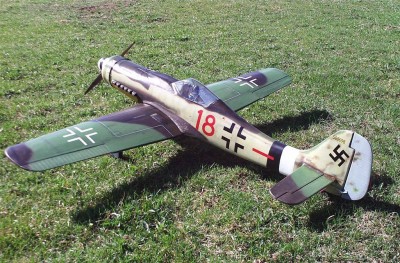 FW-190-D9 Finished Plane (2).jpg