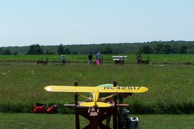 The &quot;Pres&quot; with his nice old cub. Did a great job flying it. Think if Ed was feeling better Gary might have lost his struts! LOL