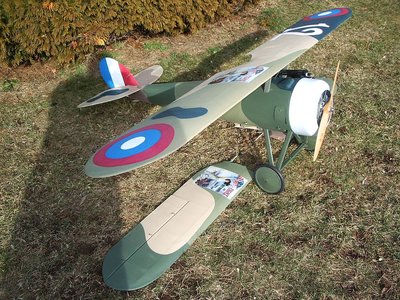 1-15-2014  Nieuport Painted Parts (6).jpg