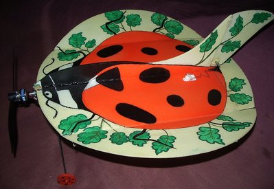 Lady Bug