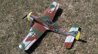 GWS Fw-190A (13).jpg