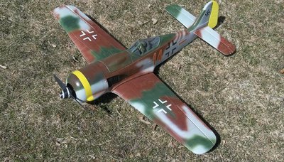 GWS Fw-190A (12).jpg