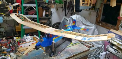 1-10-2020 Wing Assembled.jpg