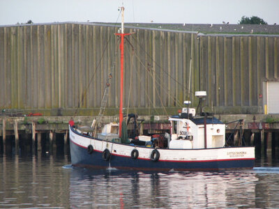 Eastern rigged-Little Sandra 02.jpg