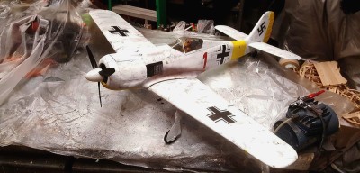 2021 11 Fw 190 Winter Scheme Russia (5).jpg