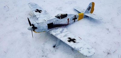 2021 12 Fw 190 Winter Scheme Russia (1).jpg