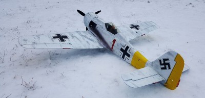 2021 12 Fw 190 Winter Scheme Russia (3).jpg
