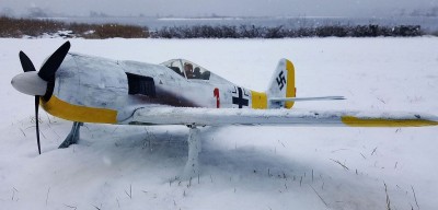 2021 12 Fw 190 Winter Scheme Russia (5).jpg