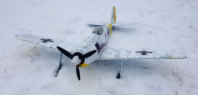2021 12 Fw 190 Winter Scheme Russia (6).jpg
