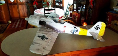 2021 12 Fw 190 Winter Scheme Russia (7).jpg