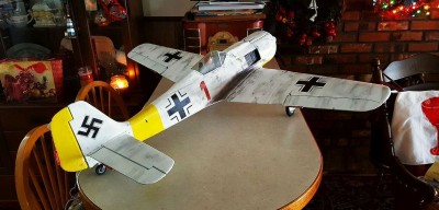 2021 12 Fw 190 Winter Scheme Russia (9).jpg