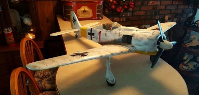 2021 12 Fw 190 Winter Scheme Russia (11).jpg