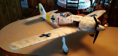 2021 12 Fw 190 Winter Scheme Russia (12).jpg