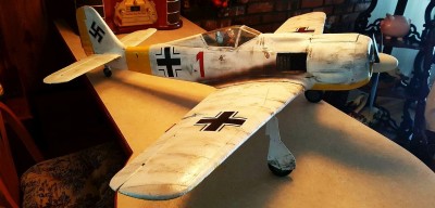 2021 12 Fw 190 Winter Scheme Russia (14).jpg