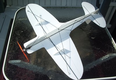12-2-12 New F3P Thunderbolt (5).jpg