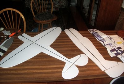 12-2-12 New F3P Thunderbolt (1).jpg