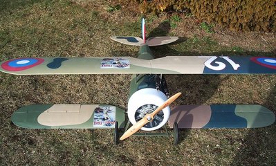 1-15-2014  Nieuport Painted Parts (4).jpg